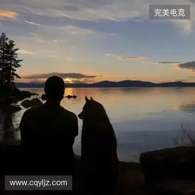 平实贤